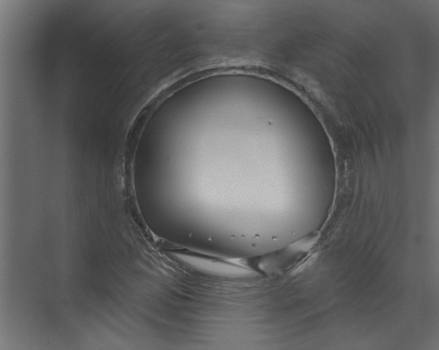 X0000073461165200608181257