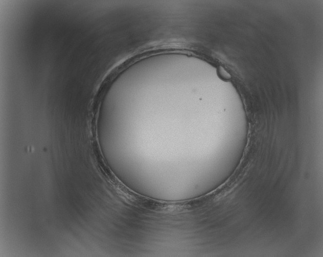 X0000073461166200608181257