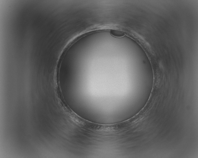 X0000073461174200608181257