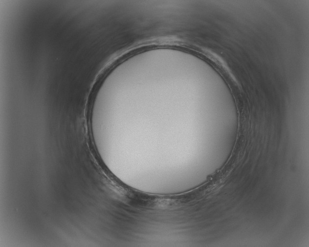 X0000073461176200608181257