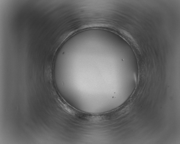 X0000073461177200608181257