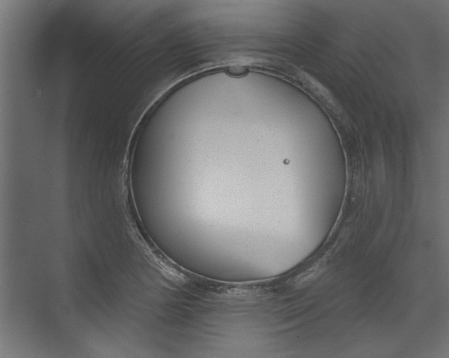 X0000073461178200608181257