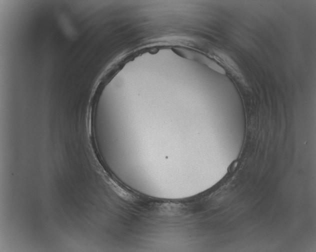 X0000073461180200608181257