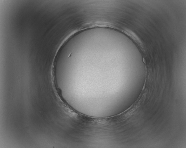 X0000073461190200608181257