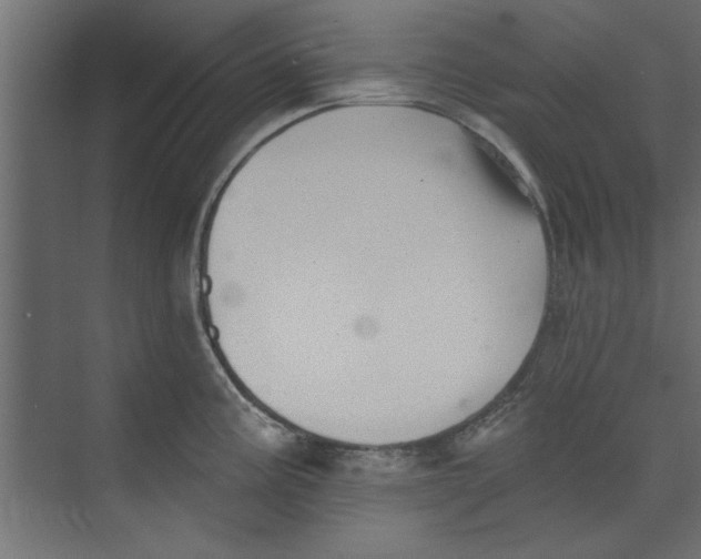 X0000073461195200608181257