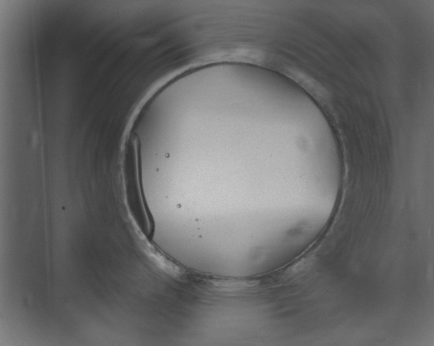 X0000073461200200608181257