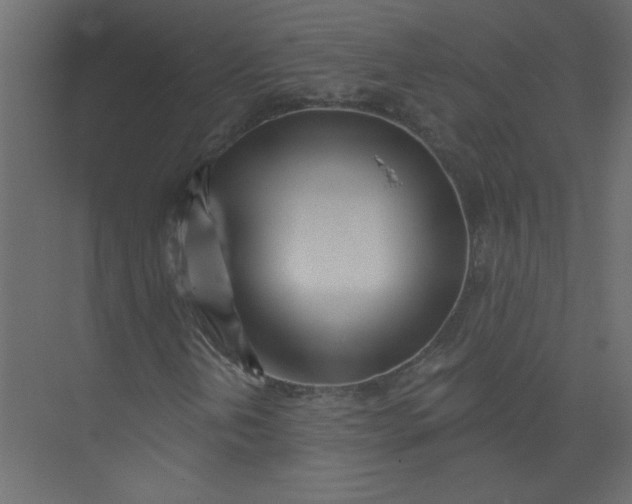 X0000073461202200608181256