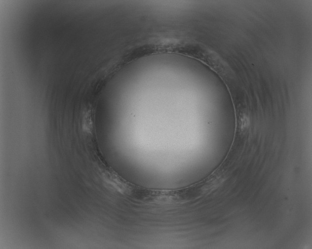 X0000073461204200608181256