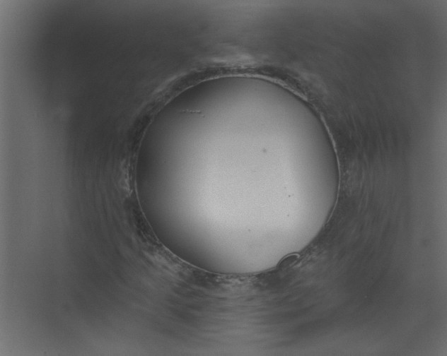 X0000073461205200608181256