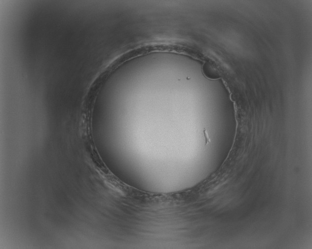 X0000073461208200608181256