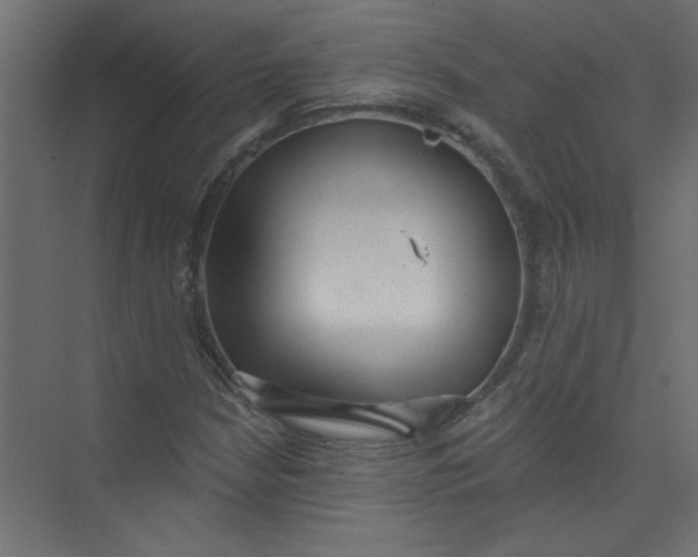 X0000073461210200608181256