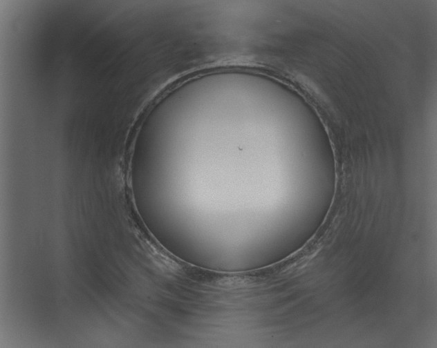 X0000073461212200608181256