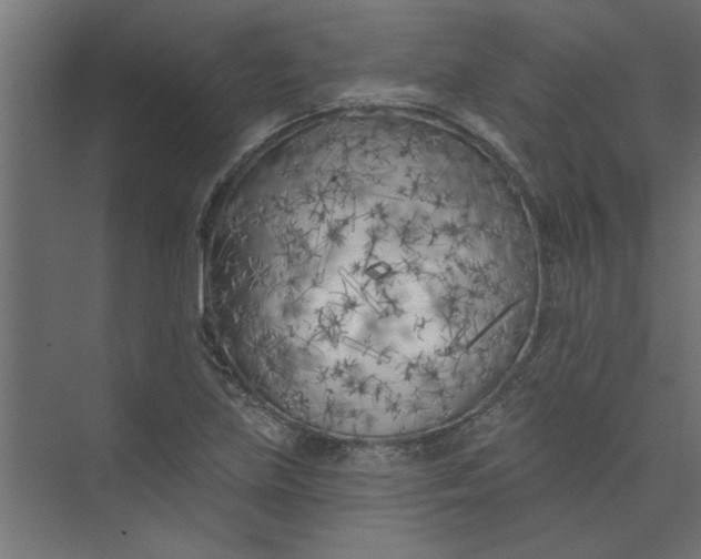 X0000073461219200608181256