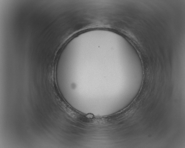 X0000073461220200608181256