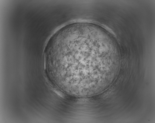 X0000073461223200608181256