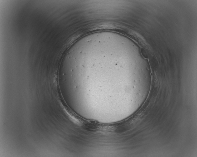 X0000073461225200608181256