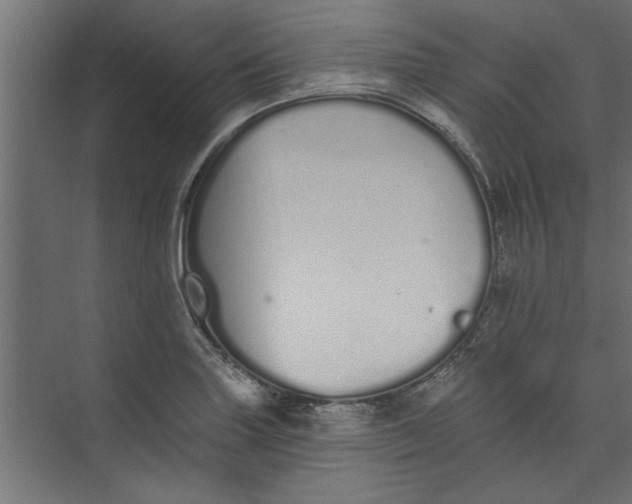 X0000073461227200608181257