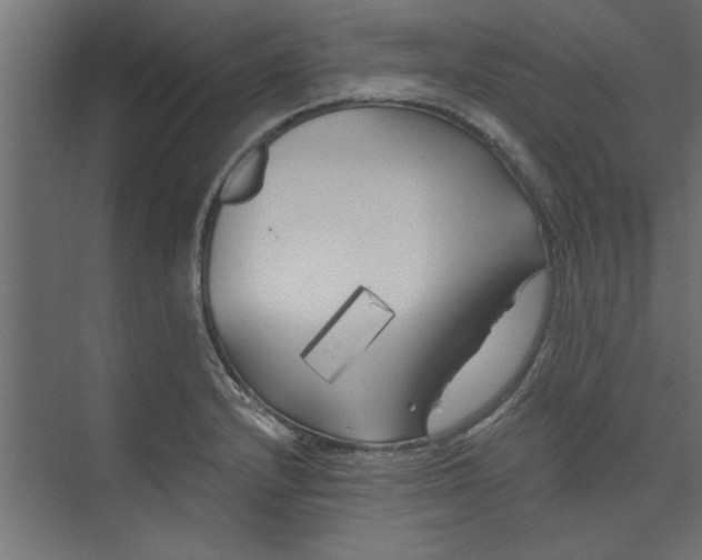 X0000073461232200608181257