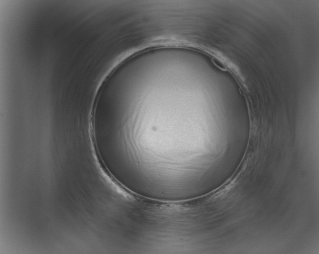 X0000073461239200608181257