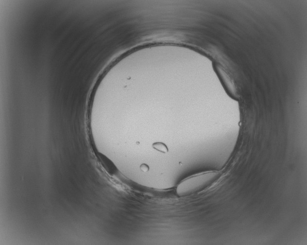 X0000073461240200608181257