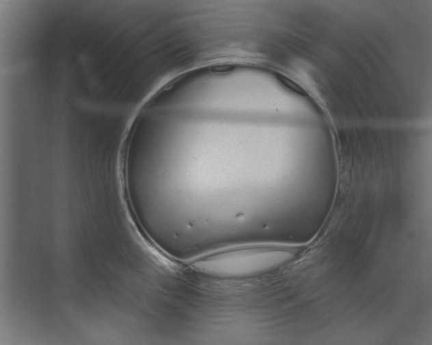 X0000073461243200608181257