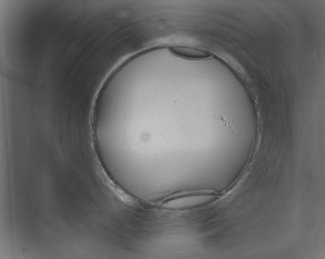 X0000073461248200608181257