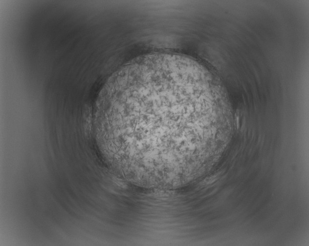 X0000073461251200608181256