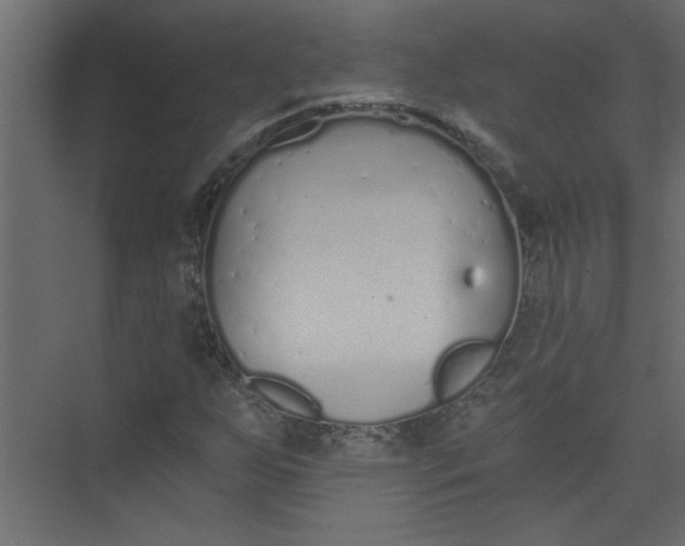 X0000073461255200608181256