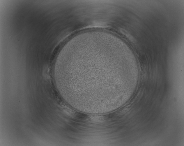 X0000073461258200608181256