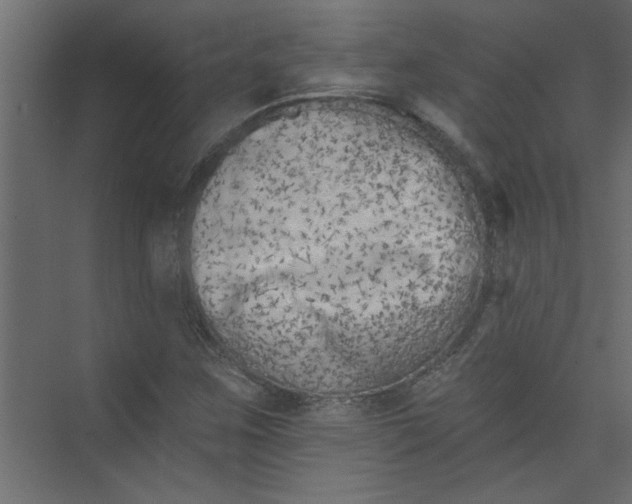 X0000073461259200608181256