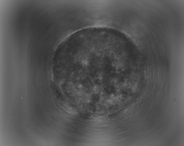 X0000073461262200608181256