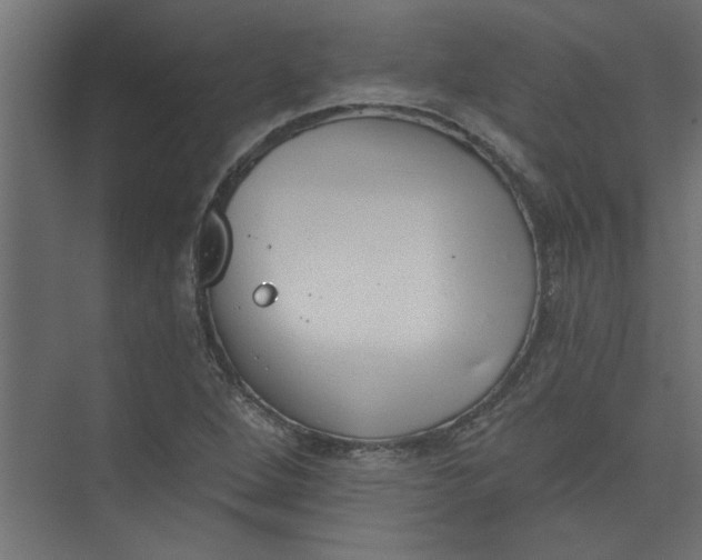 X0000073461264200608181256