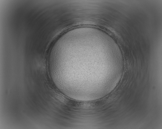 X0000073461266200608181256