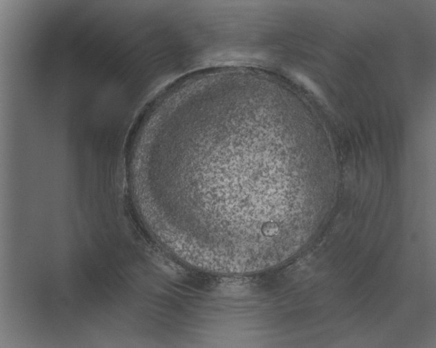 X0000073461267200608181256