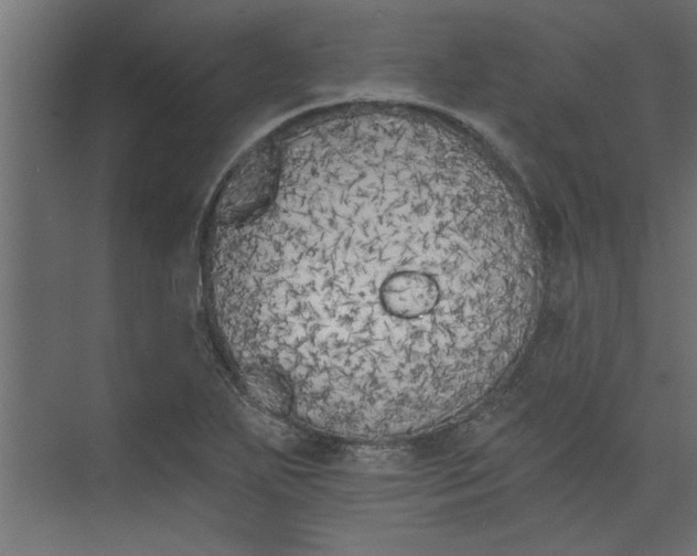 X0000073461271200608181256