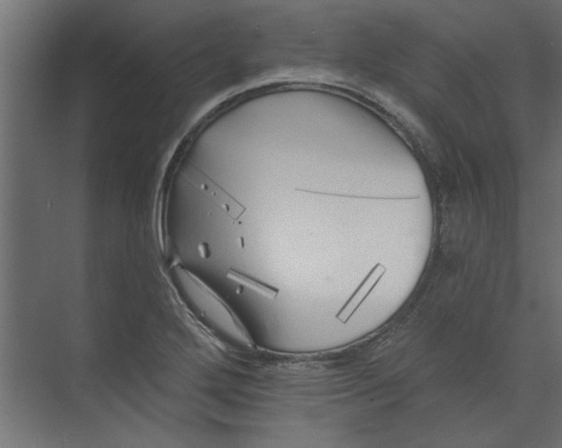 X0000073461272200608181256