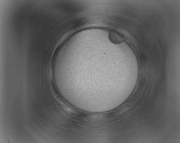 X0000073461274200608181256