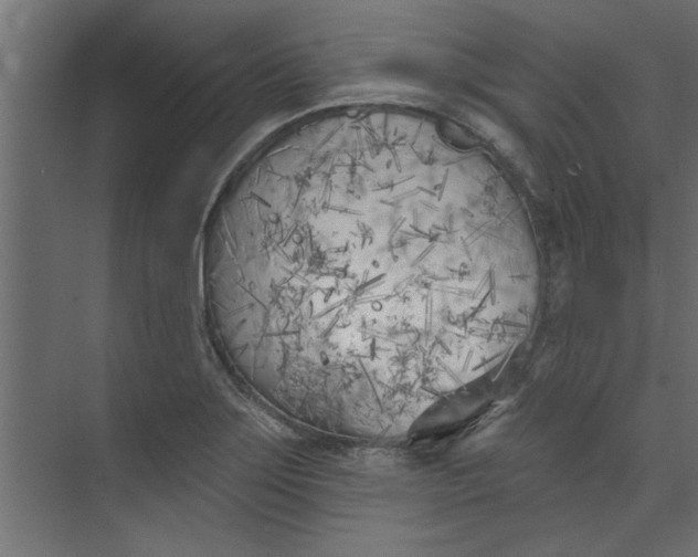 X0000073461275200608181256