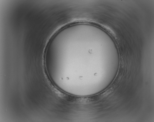 X0000073461279200608181256