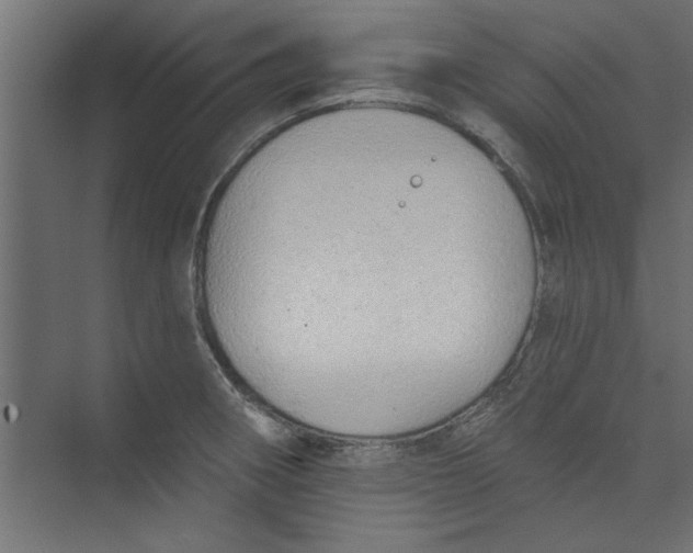 X0000073461282200608181256