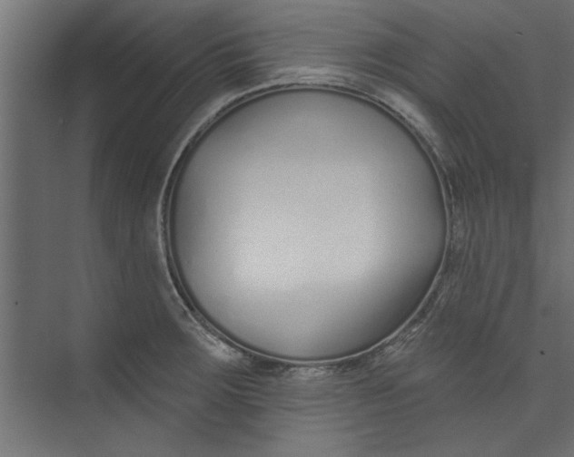 X0000073461283200608181256