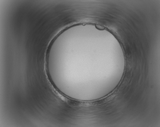 X0000073461286200608181255