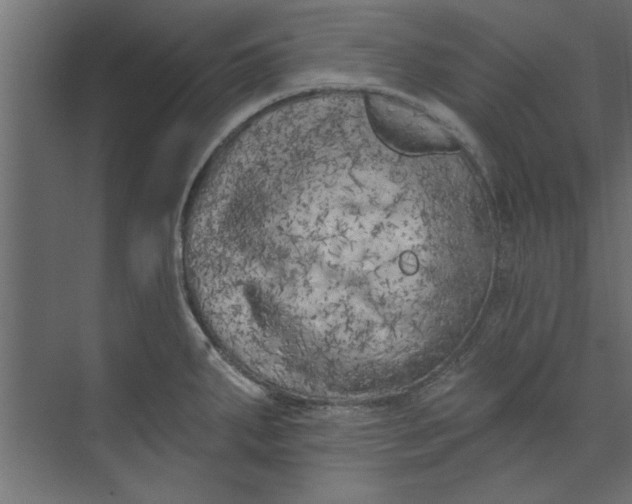 X0000073461287200608181255