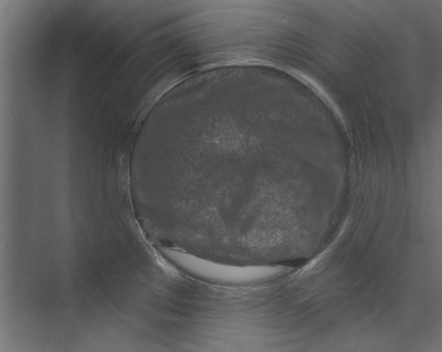 X0000073461289200608181255