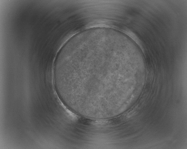 X0000073461290200608181255