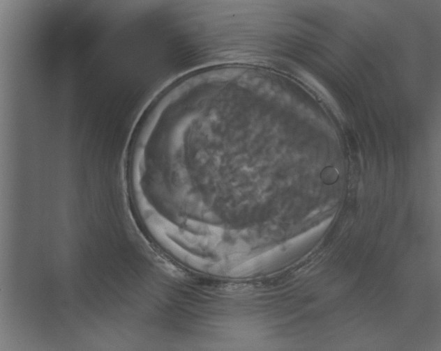 X0000073461291200608181255