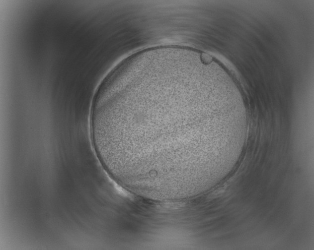 X0000073461294200608181255