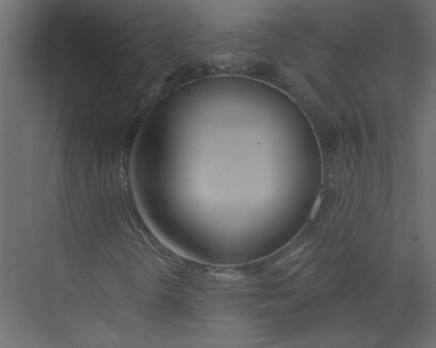 X0000073461298200608181254