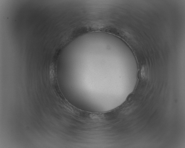 X0000073461299200608181255