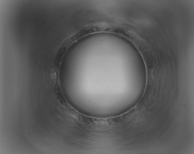 X0000073461302200608181255